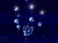 Skull Chandalier